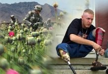 Afghan politicians call for unconditional ceasefire