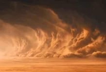 African Deaths From Dust Exceeds Deaths From HIV