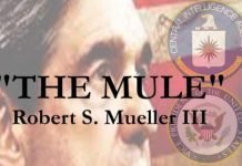 Insider Revelations on Mueller