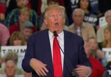 More endless nonsense from Trump