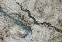 Lasers Help To Rewrite Human History