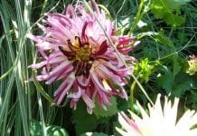 Some of the Best Quotes of All Time