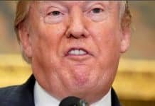 Draft Dodger Trump Justifies Slaughtering the Kurds: “They Didn’t Help Us with Normandy”