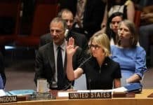 Exclusive: The Truth Behind Russia and US Support Turkish Invasion of Syria with UN Veto