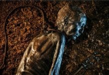 Denmark’s Bog Bodies Reveal Secrets