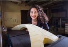 Leonardo da Vinci: Architect Extraordinaire