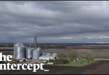 The Filth We Eat: Making Animal Rights Activists (and “clean food” advocates) Criminals