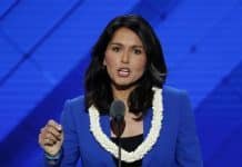 Tulsi Gabbard destroys CNN and New York Times