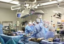 Suspended Animation Used on a Human