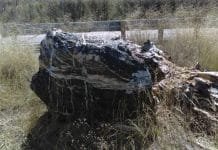 Who Took the One-Ton Wizard Rock?