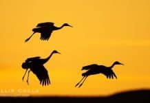 Truth: The Greatest Enemy of the State | Jack Mullen