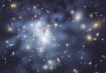 Discovery: New Force of Nature?