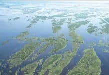 Global Warming in Photographs