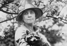 What Are You Eating for Thanksgiving?