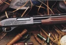 A Prosecutor was accidentally shot to death in court, authorities say