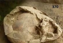 Bone Helmets Made From Child Skulls Found in Remains of Ancient Ecuadoran Burials