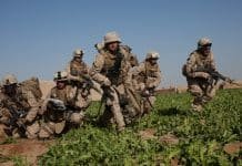 NY Times: New World Order lies about the war in Afghanistan