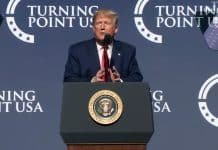 Moron or Psychopath: Trump’s Windmill Breakdown
