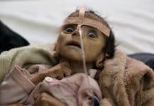 Thousands of mercenaries hired by UAE to carry out assassinations in southern Yemen