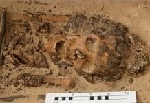 Head Cones For Ancient Egyptians: Not Alien Heads