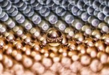 US Army will fund rare earths plant for weapons development