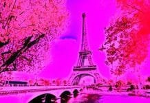 Paris Photo Show 2019