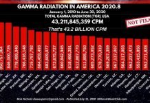 GAMMA RADIATION IN AMERICA - 2020-8