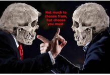 Not Just the Same Old Reasons to Hold Your Nose and Vote for Biden (good read)