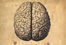 Neurological Symptoms in COVID-19 Patients Are Problematic