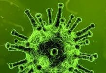 Chinese Pneumonia Outbreak: New Type of Coronavirus