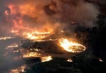 Blaming Wild Fires on Global Warming & Climate Change!