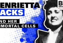 Reparations Begin for Use of the HeLa Cell Line in the Biotechnology Industry