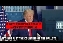 Greg Palast: Trump’s Real Plot to Steal the Election