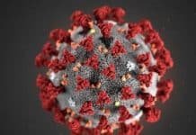 California and Florida Set New Records for Coronavirus Deaths