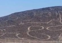Peru’s Nazca Lines Reveal 2,000-Year-Old Cat