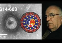 WUHAN-GATES – 12. MI6 British Intelligence former Head: “SARS-2 Built in Bio-Lab”. Pics and Proofs of HIV Test
