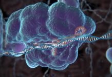Nobel Prize in Chemistry Given for CRISPR-Cas9 Gene-Editing Technology