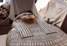 Saqqara Necropolis Yields 59 Sarcophagi