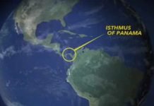 Half of South America’s Mammals came from North America