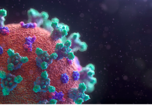 When Coronavirus Put “Democratic Socialism” in the Driver Seat?