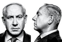 IAEA boss: Israel lies about Iran