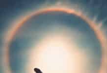 Coronavirus, Spiritual Resources for Empowered Inner Peace, Healing and Abundance