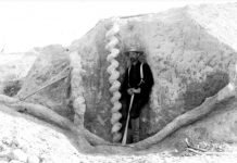 Leave it to Beaver Palaeocastor! Devil’s Corkscrews