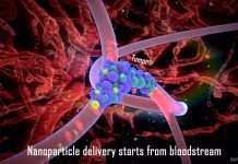 ‘Trojan horse’ treatment makes cancer self-destruct without use of drugs