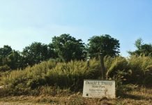 Trump faces prison for ‘Donald Trump State Park’