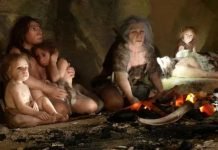 Guardian: Neanderthal genes increase risk of serious COVID 19