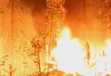 Zombie Fires in Arctic Spew Carbon Dioxide Into Atmosphere
