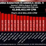 GAMMA RADIATION IN AMERICA – 2020-11
