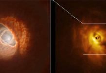 GW Orionis: An Oddly Shaped Interstellar Arrangement