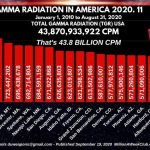 Gamma Radiation in America - 2020-11